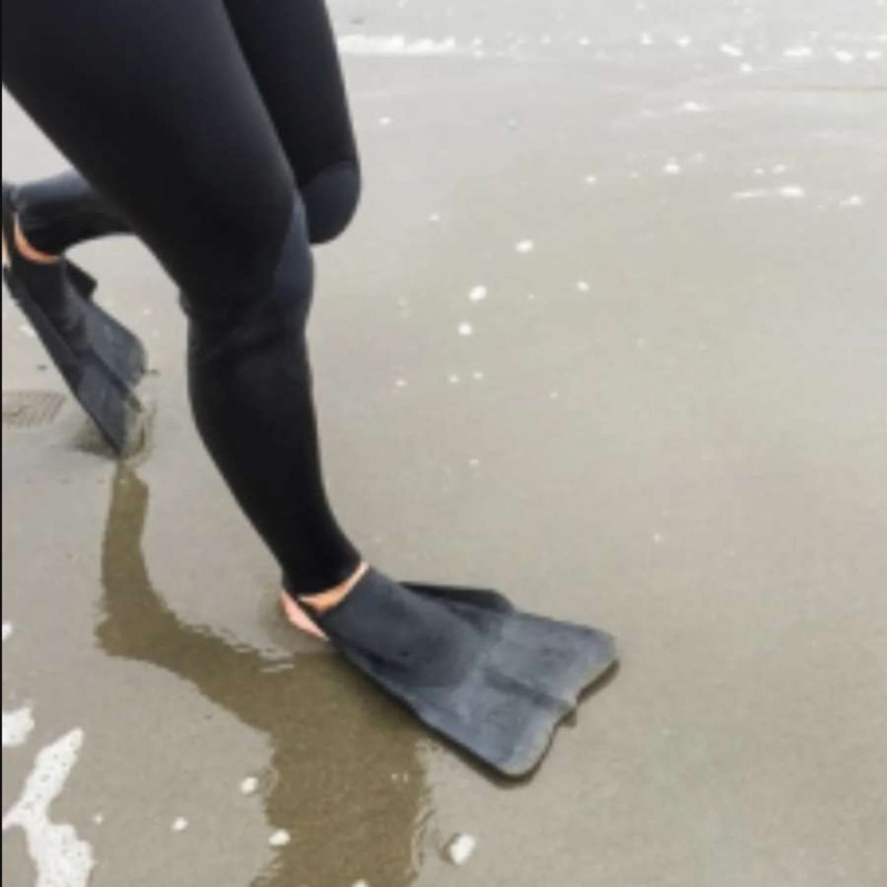 Palmes DAFIN All Black