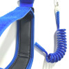 Leash Biceps OGM Premium Bleu roi