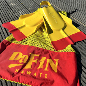 Palmes DAFIN Yellow / red