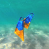 Palmes CHURCHILL Makapuu Classic