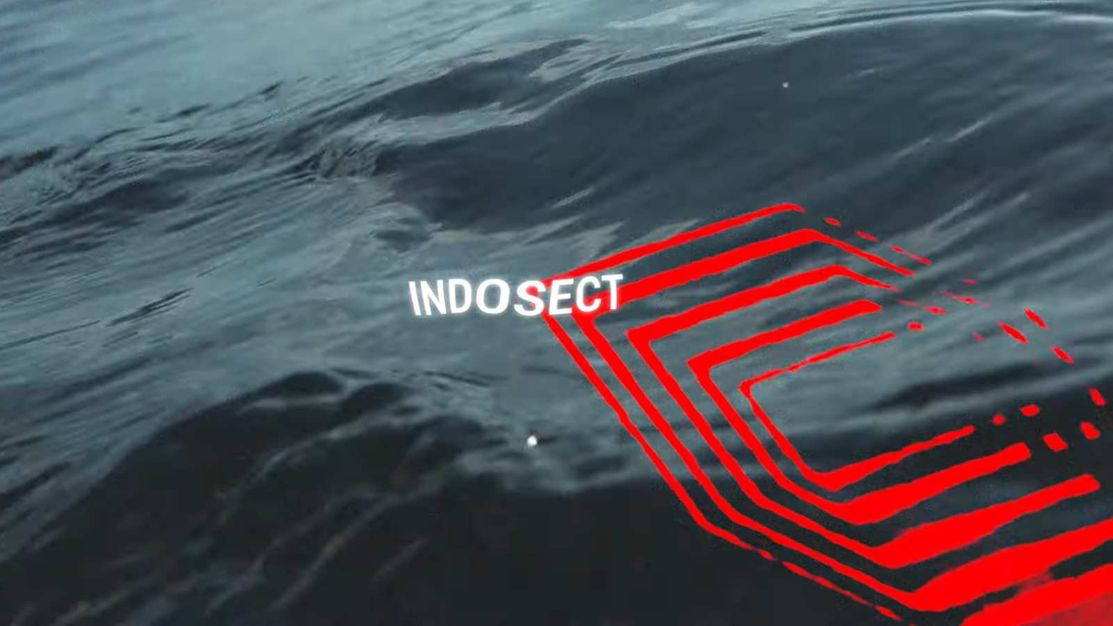INDOSECT 2025